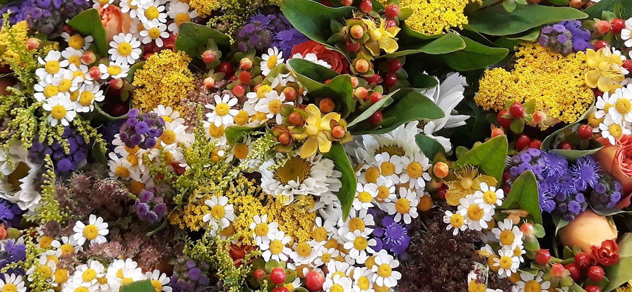 Bunte Sommerblumen?

... Jens Wöbb liefert Ihnen die wichtigsten Schnittblumen direkt vom Feld.