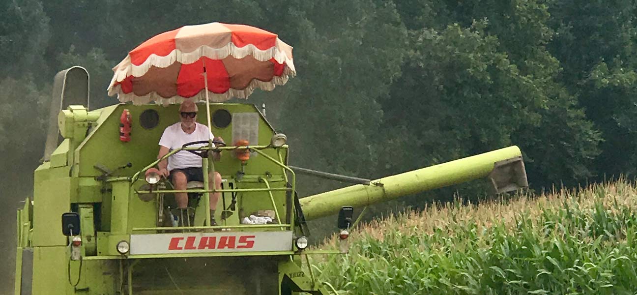 Ernte mit Sonnenschirm?

... Hamburger Landwirte lassen sich gerne was Gutes einfallen.