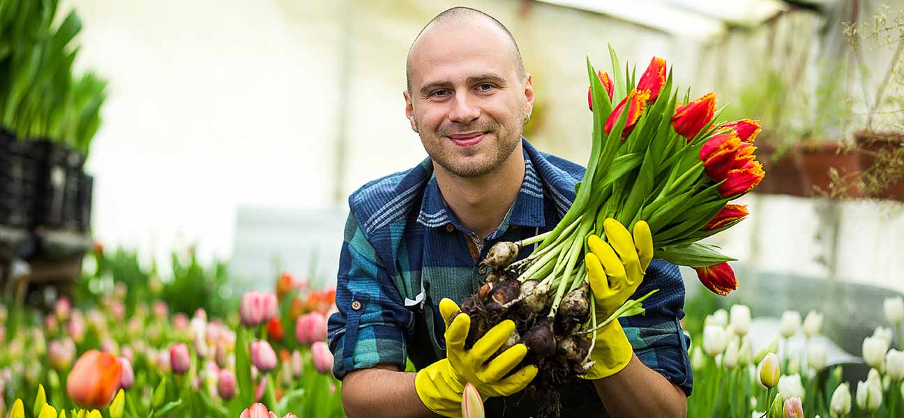 Tulpen aus Hamburg?

... die Saison in den Vier- und Marschlanden hat begonnen.