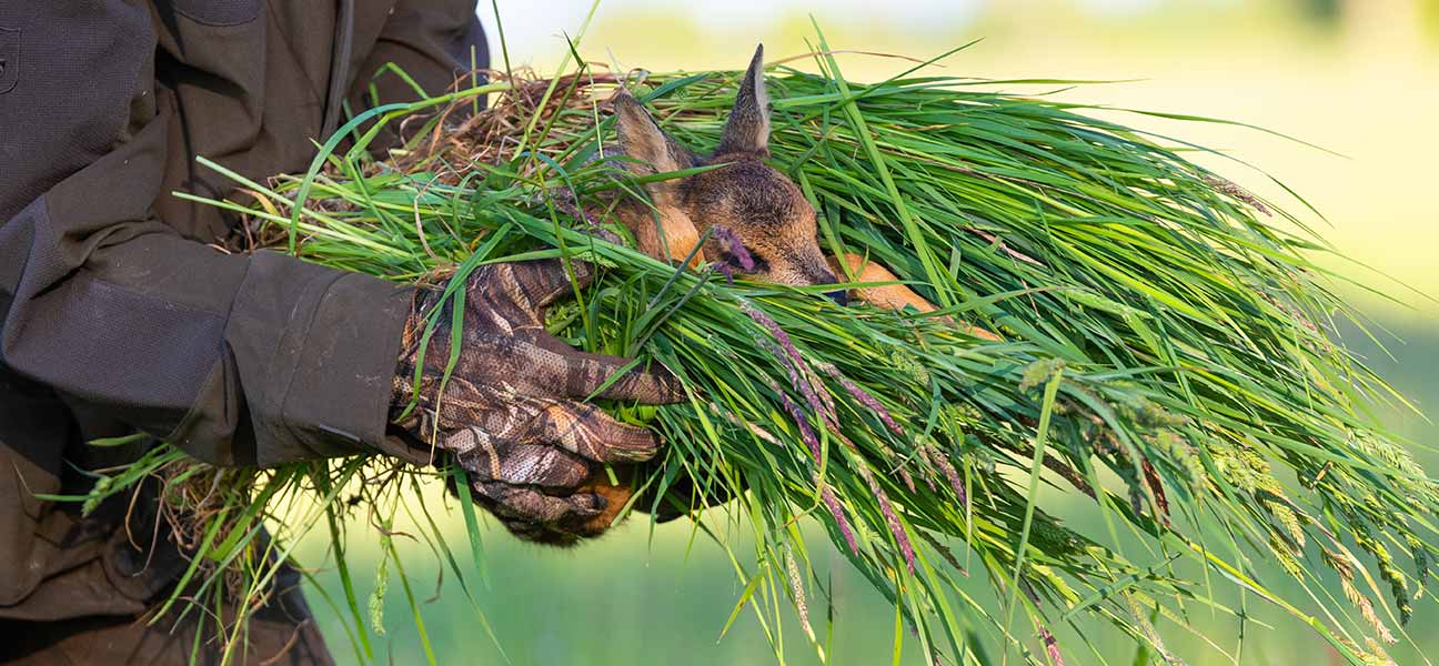 Schutz für unsere Wildtiere?

... ab Mitte Mai sind die Hamburger Wildtierretter wieder im Einsatz.